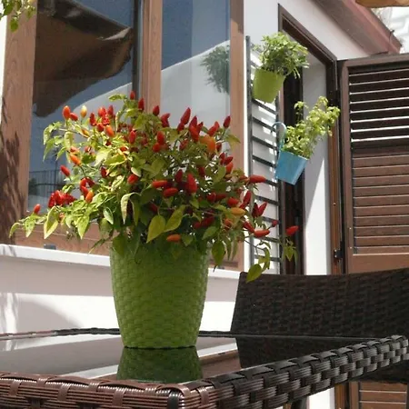 Casa de hóspedes A Vanedda