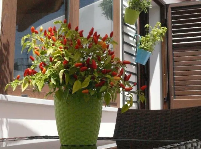 Affittacamere A Vanedda